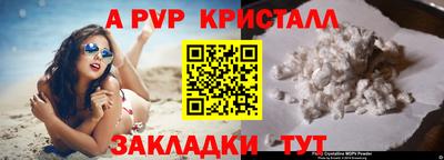 mdpv Рыбинск